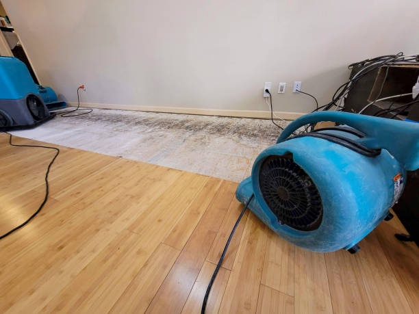 Professional Emergency Water Damage technician working in Bridgeport, PA